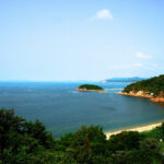 No photo normal square img