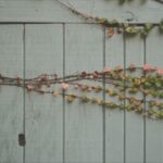 No photo normal square img