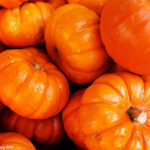 No photo normal square img