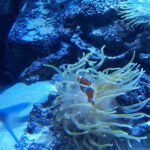 No photo normal square img