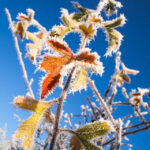 No photo normal square img