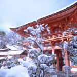 No photo normal square img