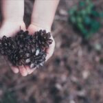 No photo normal square img