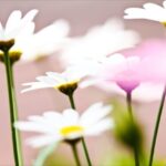 No photo normal square img