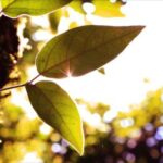 No photo normal square img