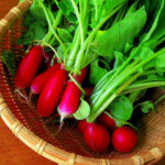 No photo normal square img