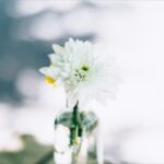 No photo normal square img