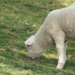 No photo normal square img