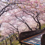 No photo normal square img