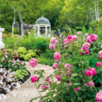 No photo normal square img