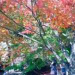 No photo normal square img