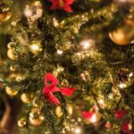 No photo normal square img