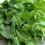 No photo normal square img