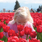 No photo normal square img