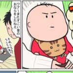 No photo normal square img