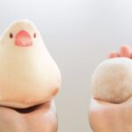 No photo normal square img