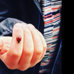 No photo normal square img