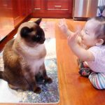 No photo normal square img