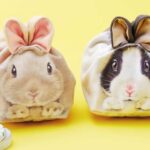 No photo normal square img