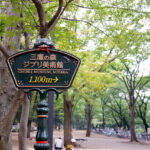 No photo normal square img