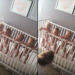 No photo normal square img