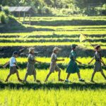 No photo normal square img