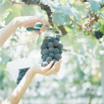 No photo normal square img