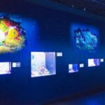 No photo normal square img