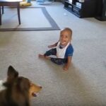 No photo normal square img