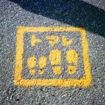 No photo normal square img