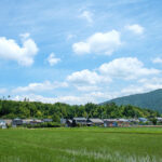 No photo normal square img