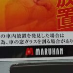 No photo normal square img