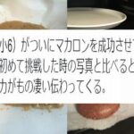 No photo normal square img