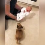 No photo normal square img