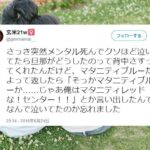 No photo normal square img