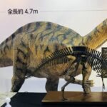 No photo normal square img