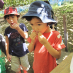 No photo normal square img