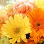 No photo normal square img