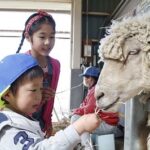 No photo normal square img