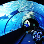 No photo normal square img