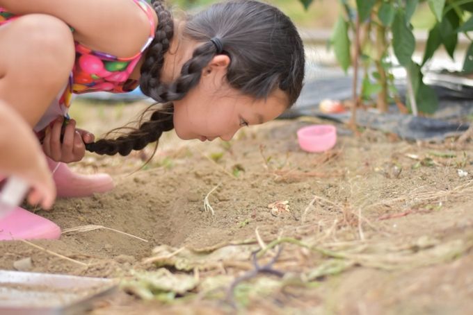 小学生の自由研究どうする？簡単だけどスゴイ「キット＆アイテム」で“大発見”の面白さ、体験してみませんか～！