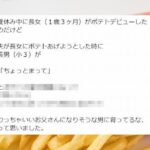 No photo normal square img