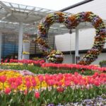 No photo normal square img