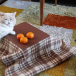 No photo normal square img