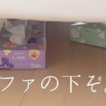 No photo normal square img