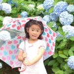 No photo normal square img