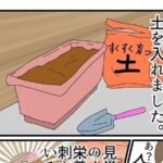 No photo normal square img