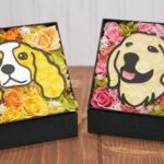 No photo normal square img