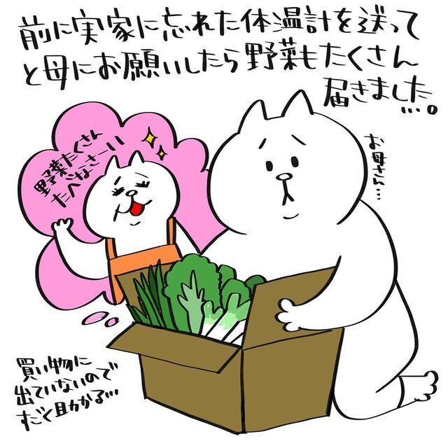 実家　母から　野菜