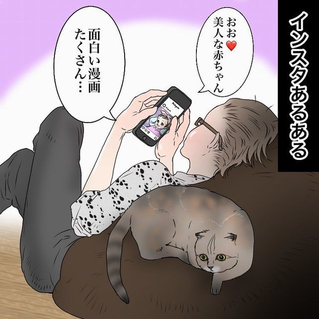 インスタ閲覧中　あるある　猫